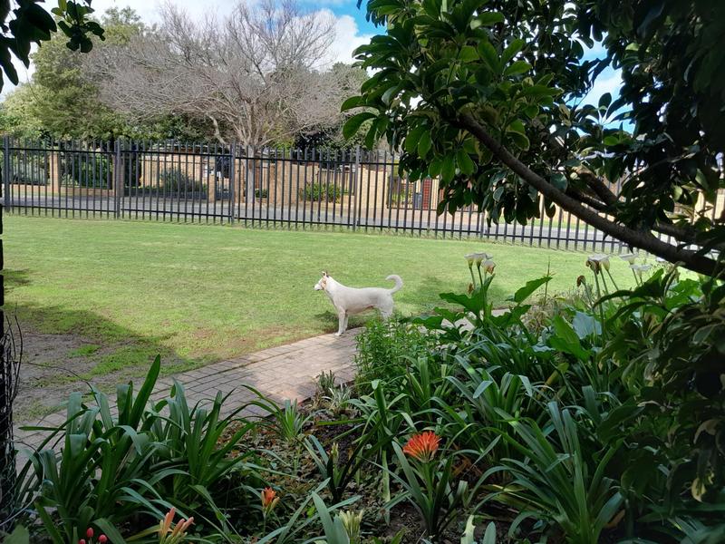 To Let 4 Bedroom Property for Rent in Sonstraal Western Cape